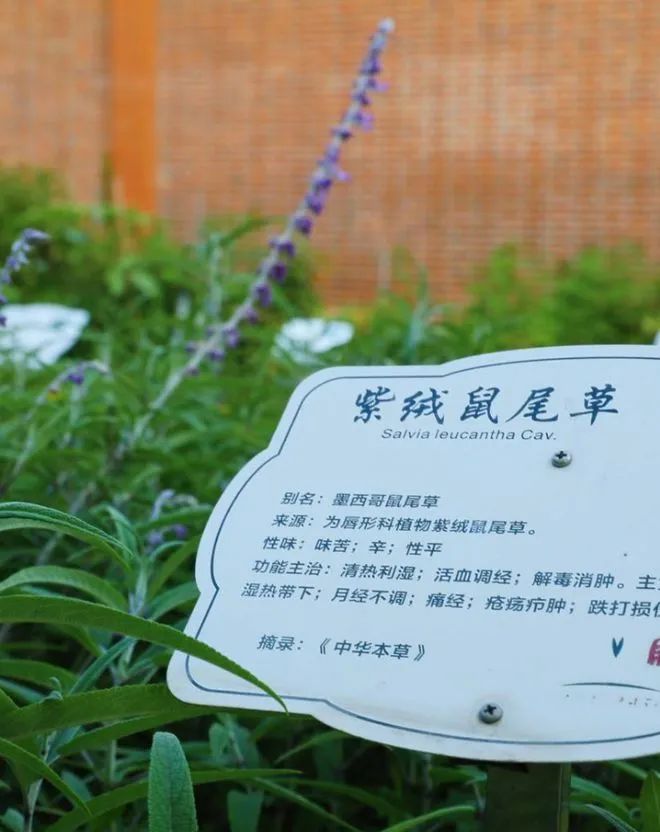微信图片_20231106123723.jpg